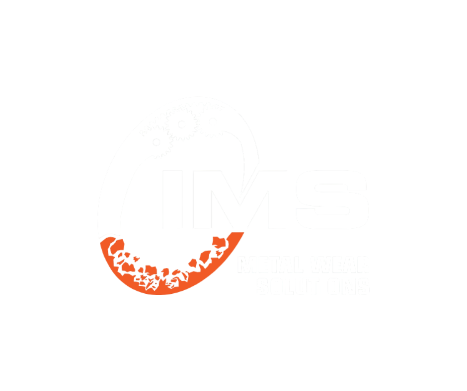 IMS logo1 IMS logo1